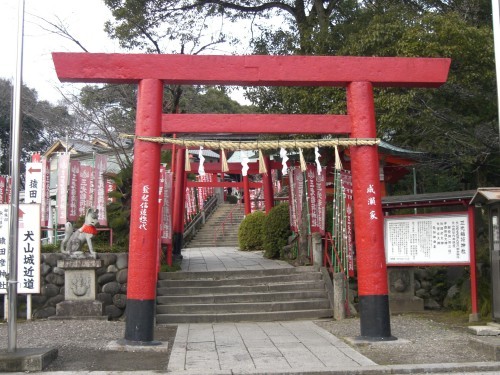 CIMG0287