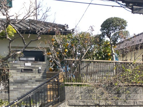 CIMG0144