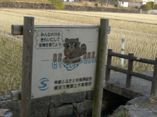 CIMG0173