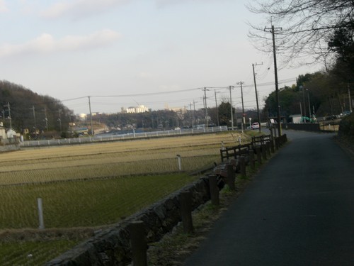 CIMG0177